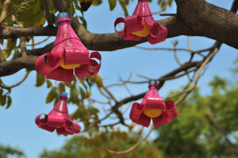 Plastic Bottle Upcycling